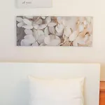 Daire Dohany 2br Chic Budapeşte