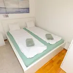 Dohany 2br Chic Lejlighed